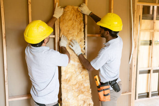 Best Spray Foam Insulation  in Beardstown, IL